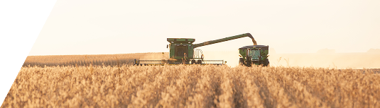 Front view of combine and grain cart harvesting