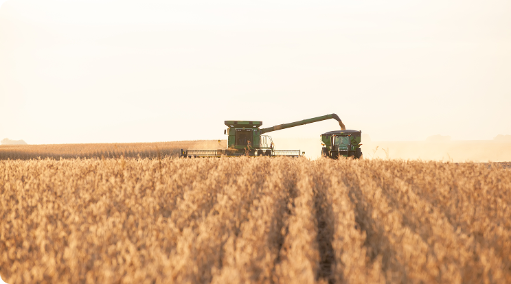 Combine and grain cart harvesting