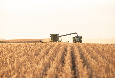 Combine and grain cart harvesting